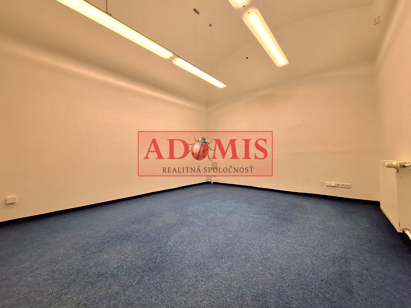 prenájom priestorov v historickej budove 88m2,162m2,450m2 centrum Košice, Mäsiarska ulica