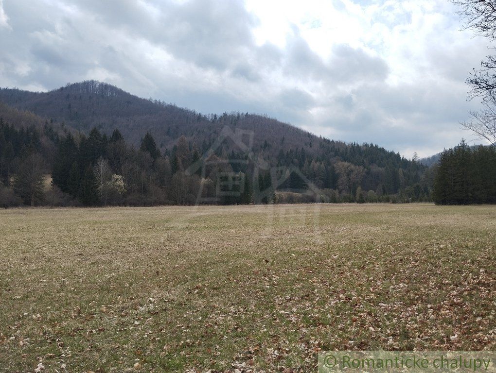 Starší rodinný dom vo Vrícku na rovinatom pozemku