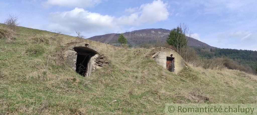 Starší rodinný dom vo Vrícku na rovinatom pozemku