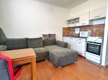 GODDESS PROPERTY – PRENÁJOM – garsónka – 29m2 – loggia 3,5 m2 – POVOLENÉ ZVIERA – TOPOLČIANSKA – PETRŽALKA