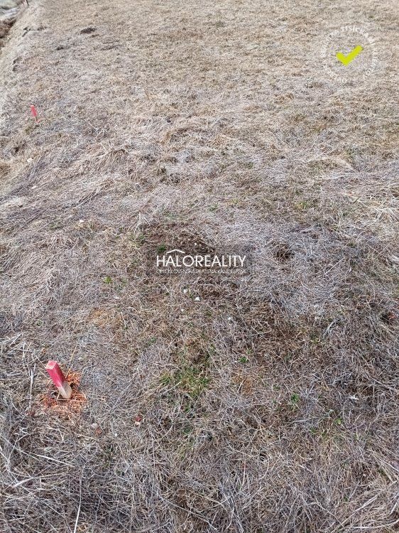 HALO reality - Predaj, rekreačný pozemok Nálepkovo, Zahájnická cesta - EXKLUZÍVNE HALO REALITY