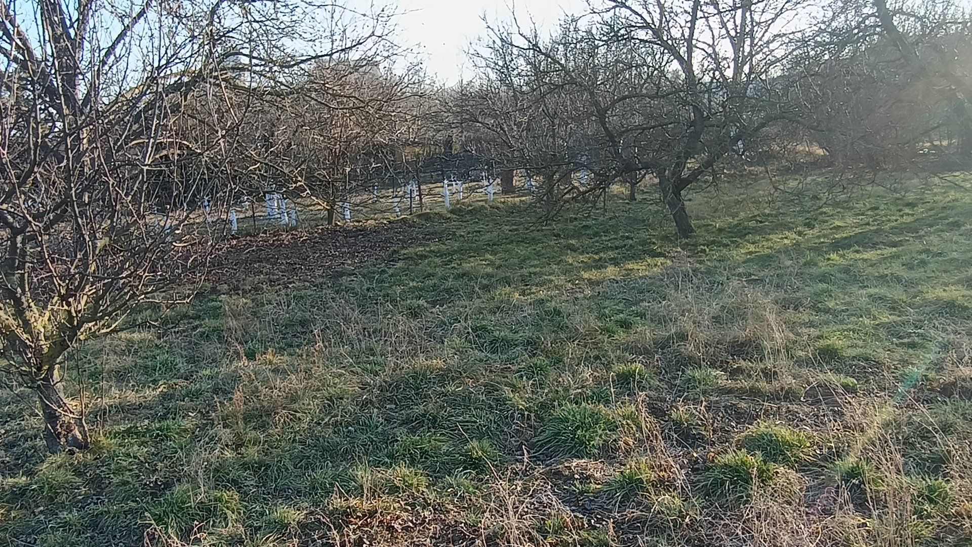 Na predaj stavebný pozemok Lužianky