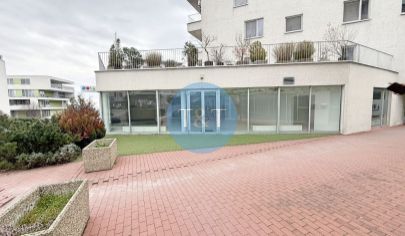 Prémiový showroom na prenájom – 198 m2 v Krasňanoch