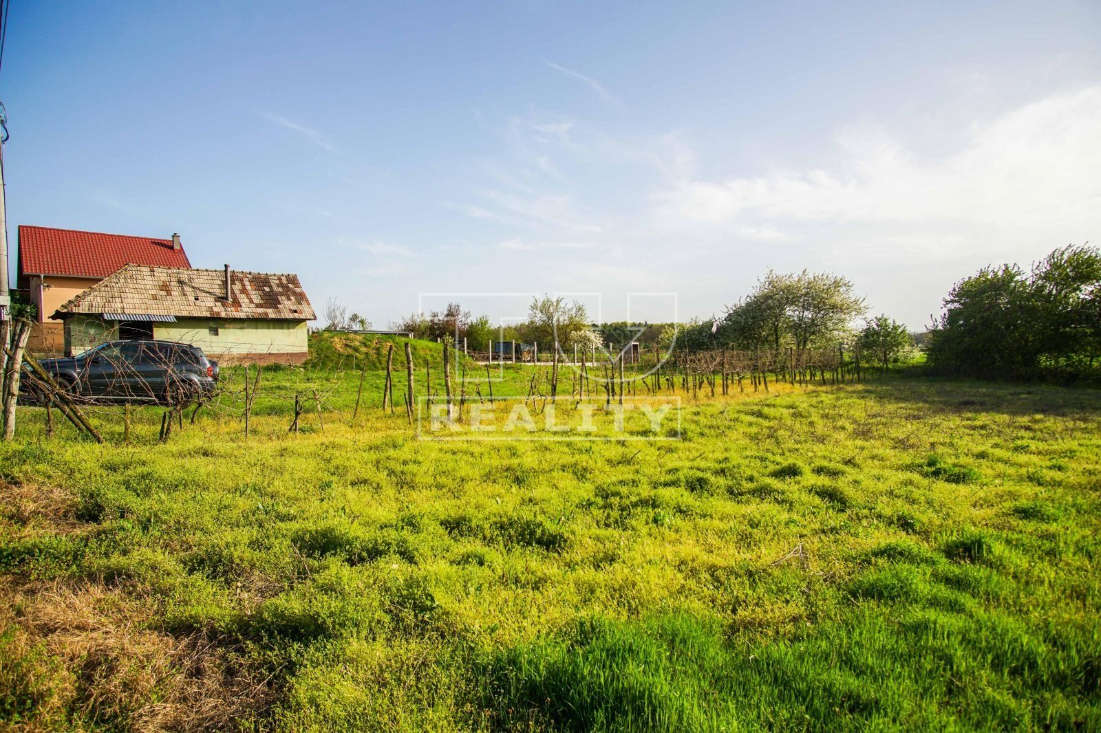 Na predaj pivničný dom, Svätý Peter, 1306 m²