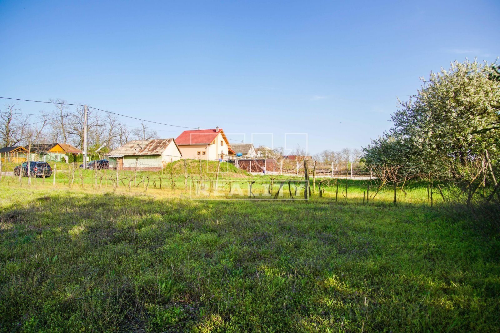Na predaj pivničný dom, Svätý Peter, 1306 m²