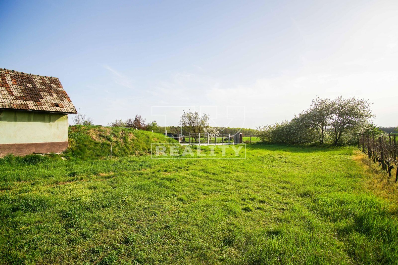 Na predaj pivničný dom, Svätý Peter, 464 m²