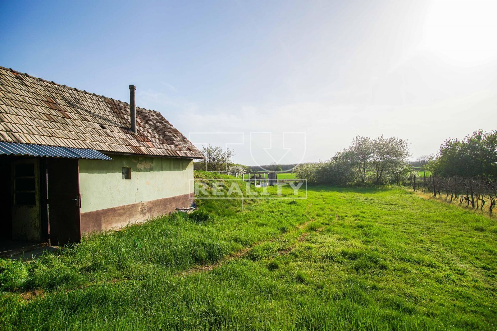 Na predaj pivničný dom, Svätý Peter, 464 m²