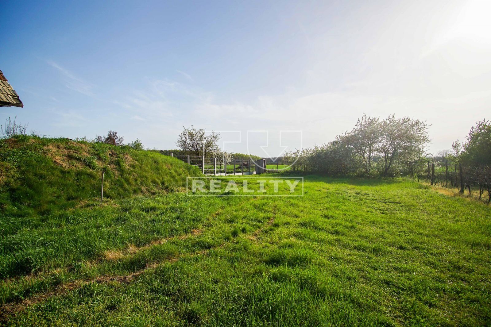 Na predaj pivničný dom, Svätý Peter, 464 m²