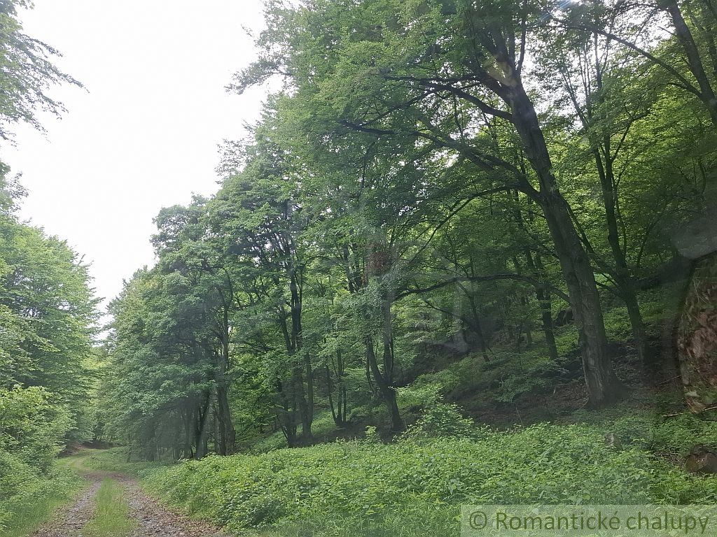 Rozsiahle lesné pozemky v Podpoľaní