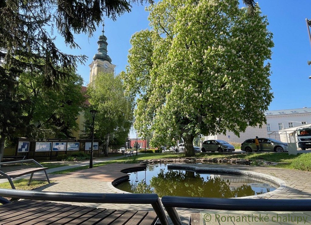 Vidiecky dom s krásnym pozemkom 1500 m2 v centre obce Voderady, vhodný na rekonštrukciu, možné je rozdelenie pozemku pre 2 až 4 domy