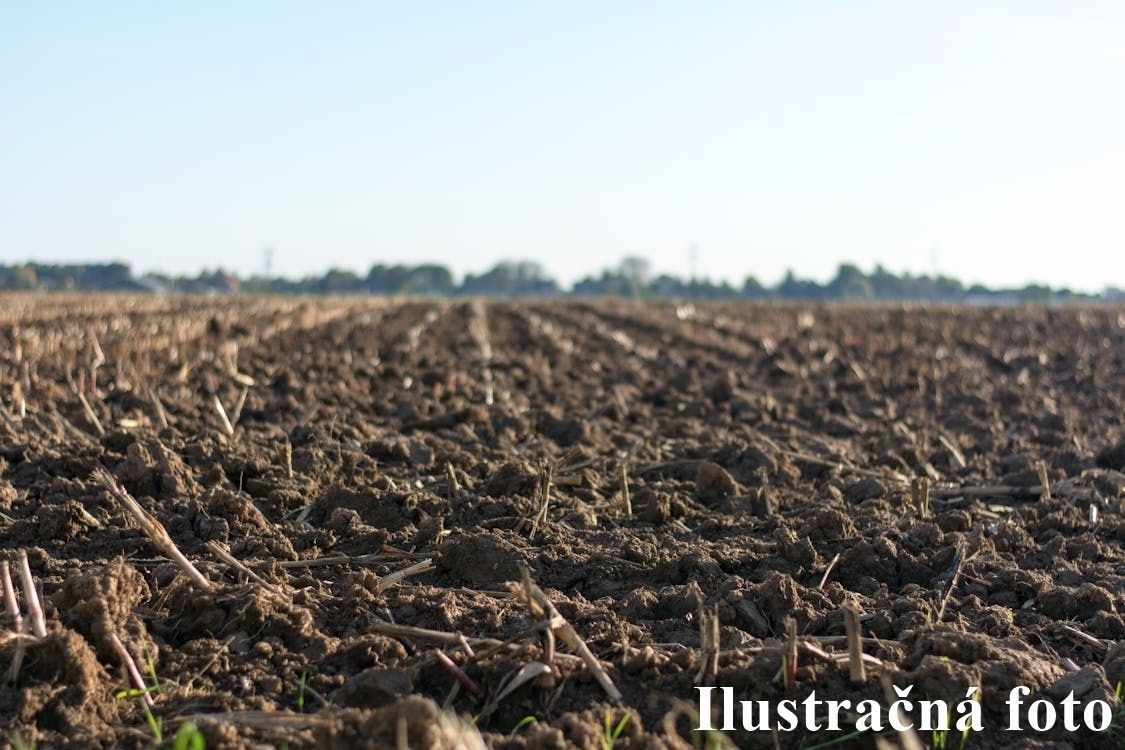 Predaj Ostatné plochy Ostatné plochy-Predaj-Šoporňa-37500.00 €