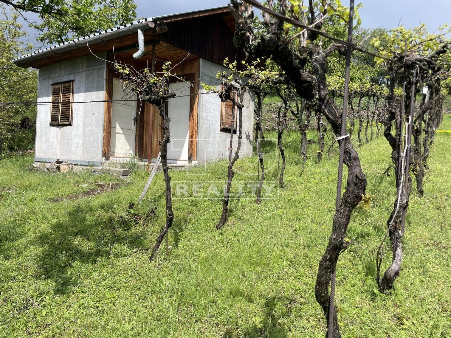 REZERVOVANÉ-Predaj rekreačného pozemku 2853 m2 s chatkou a vinohradom v Hronskom Beňadiku