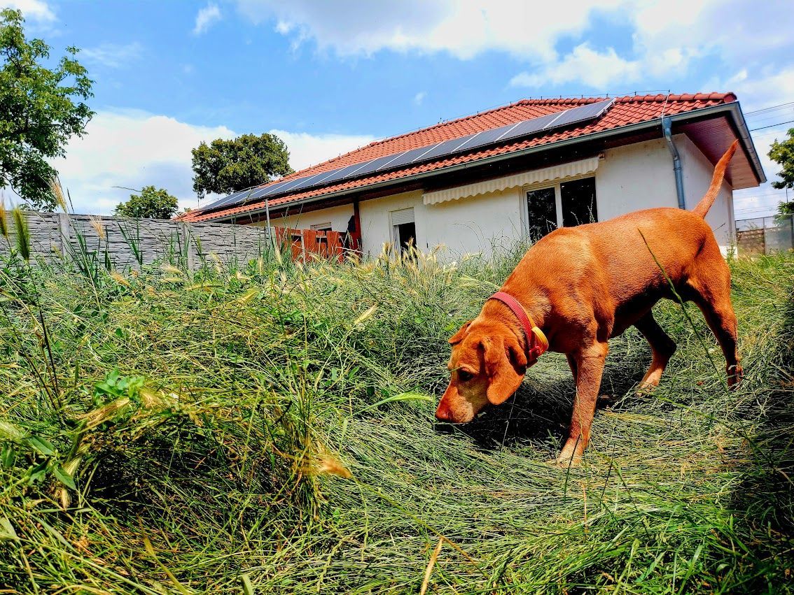 REZERVOVANE 3 izbový jednopodlažný Rodinný dom (časť dvojdomu), na slnečnom rovinatom pozemku