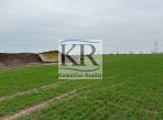 Investičný pozemok 28 249 m² neďaleko Trnavy na predaj