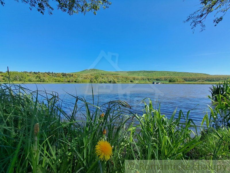 Chata v lesnom prostredí - ideálne miesto na relax v prírode