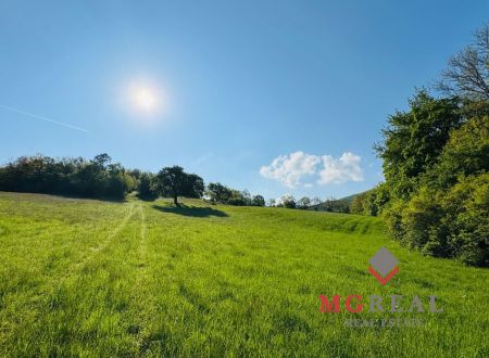 Na predaj výnimočný pozemok 6882 m² priamo v lese so začatou stavbou drevodomu – s projektovou dokumentáciou a vydaným stavebným povolením – Veľké Uherce