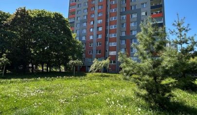 PRIESTRANNÝ 3 IZBOVÝ BYT SO ŠATNÍKOM A DVOMI LOGGIAM VO VÝBORNEJ LOKALITE POD LESOM