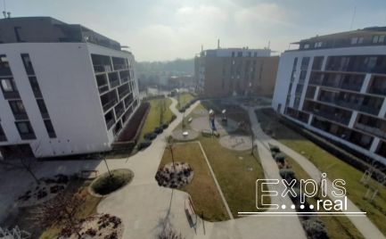 DOPYT 2 izb byt Slnečnice Petržalka EXPISREAL