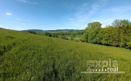 PREDAJ – Pozemok - orná pôda , k.ú. Podbranč - EXPISreal
