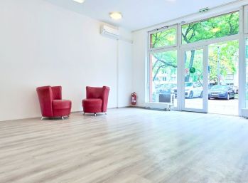GODDESS PROPERTY - REZERVOVANÉ - exkluzívne - PRENÁJOM - obchodný/komerčný priestor  45 m2 - 2x parking - terasa - klimatizácia - JÉGEHO ALEJ - Ružinov