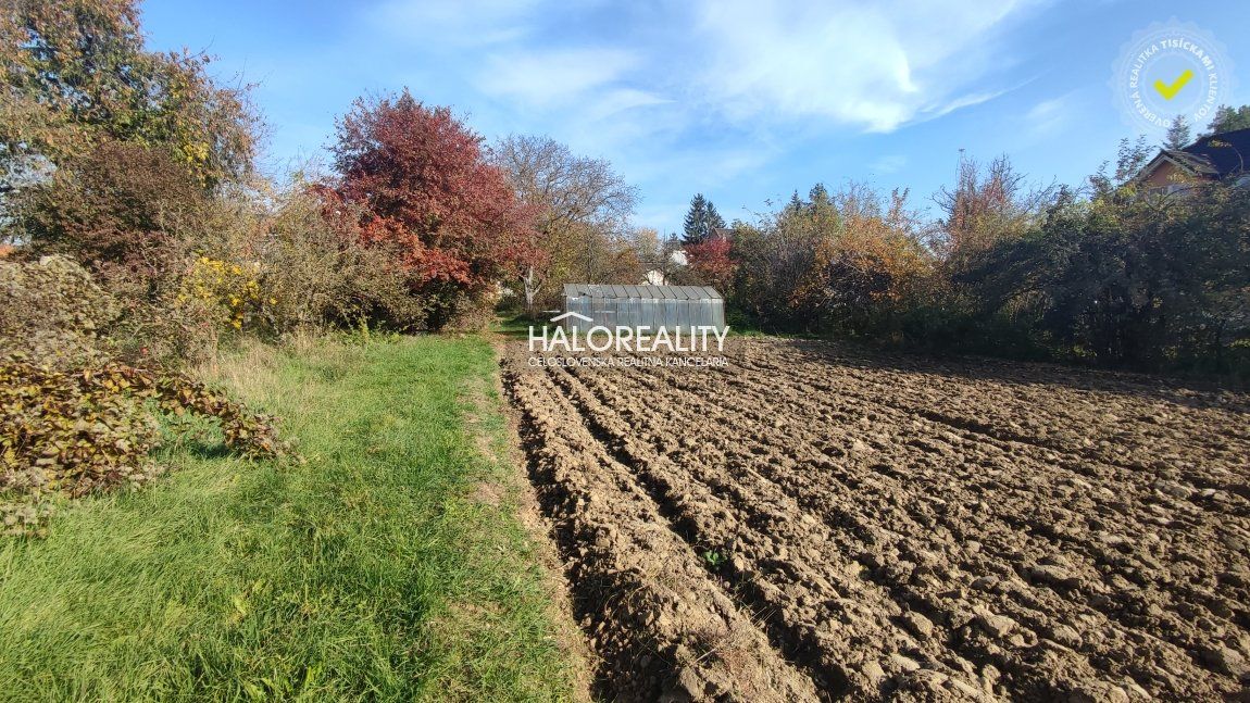 HALO reality - Predaj, rodinný dom Partizánske, Veľké Bielice - EXKLUZÍVNE HALO REALITY
