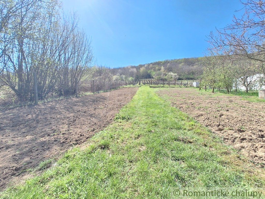 Rozľahlý 4500 m2 pozemok na hospodárenie s vínnym domom v obci Nána blízko Štúrova