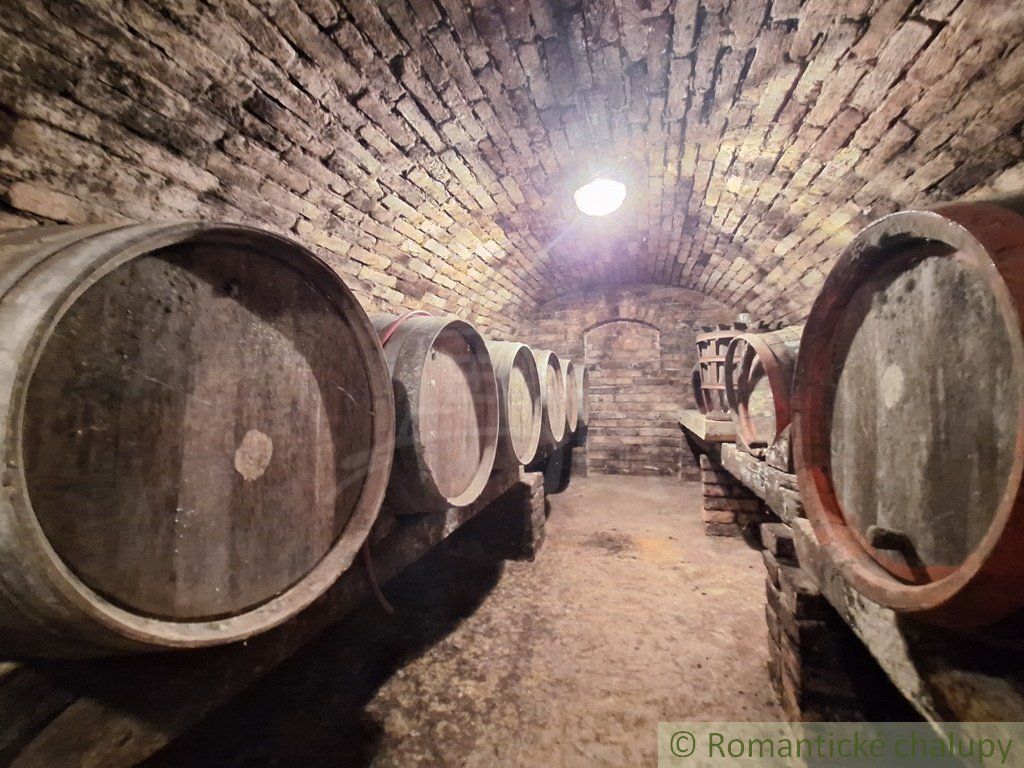 Rozľahlý 4500 m2 pozemok na hospodárenie s vínnym domom v obci Nána blízko Štúrova