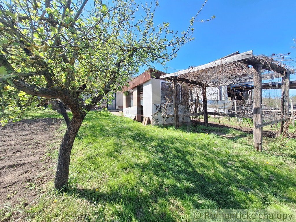 Rozľahlý 4500 m2 pozemok na hospodárenie s vínnym domom v obci Nána blízko Štúrova