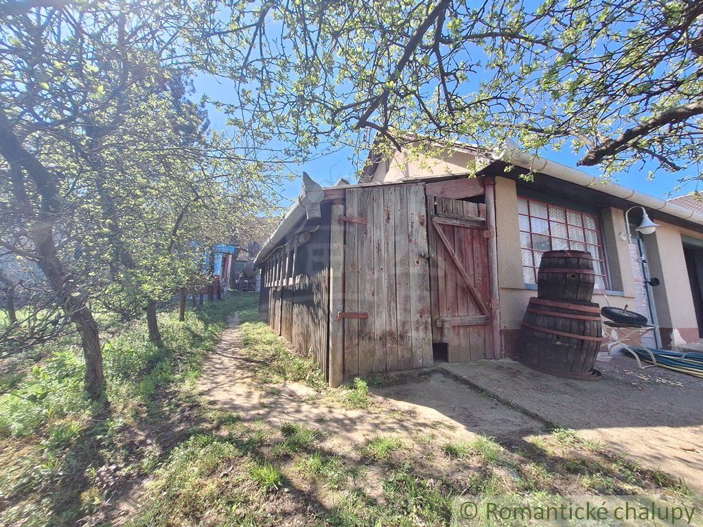 Rozľahlý 4500 m2 pozemok na hospodárenie s vínnym domom v obci Nána blízko Štúrova