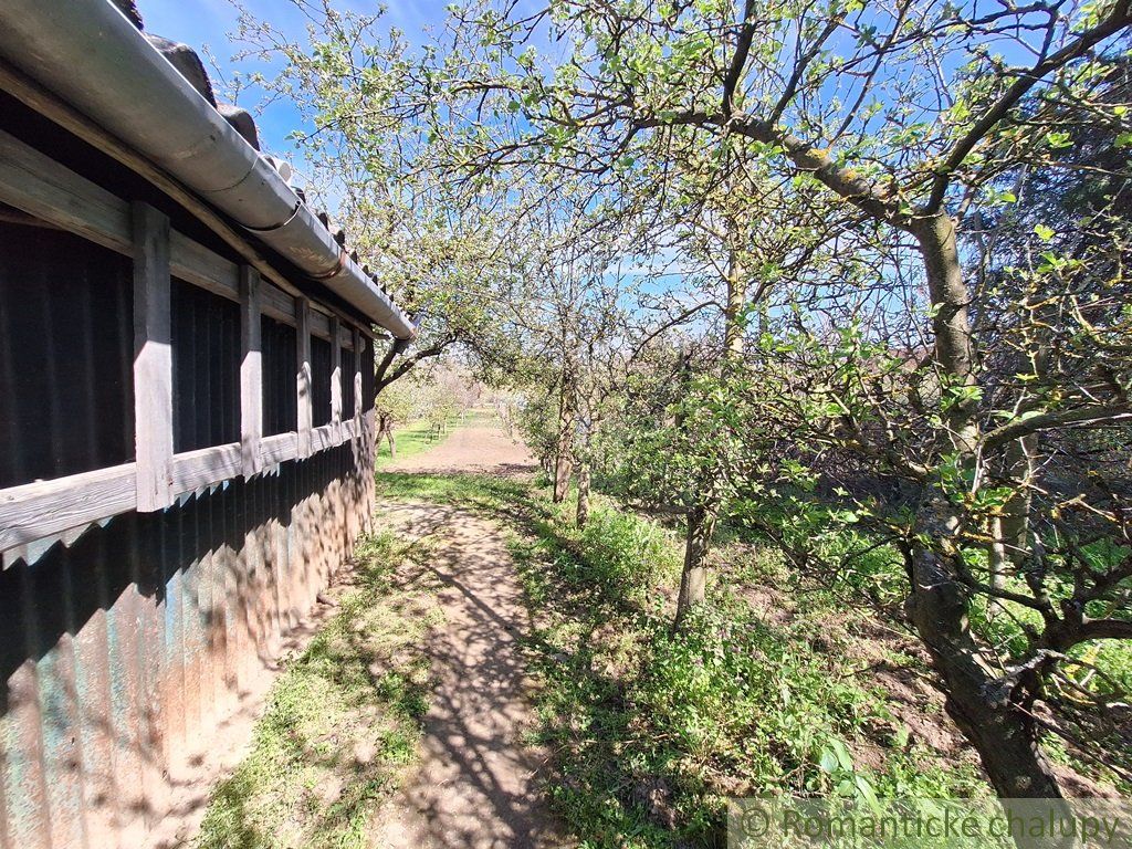 Rozľahlý 4500 m2 pozemok na hospodárenie s vínnym domom v obci Nána blízko Štúrova