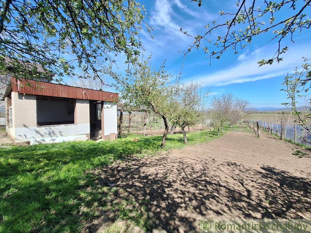 Rozľahlý 4500 m2 pozemok na hospodárenie s vínnym domom v obci Nána blízko Štúrova