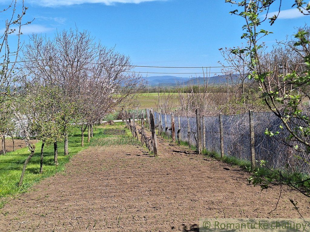 Rozľahlý 4500 m2 pozemok na hospodárenie s vínnym domom v obci Nána blízko Štúrova