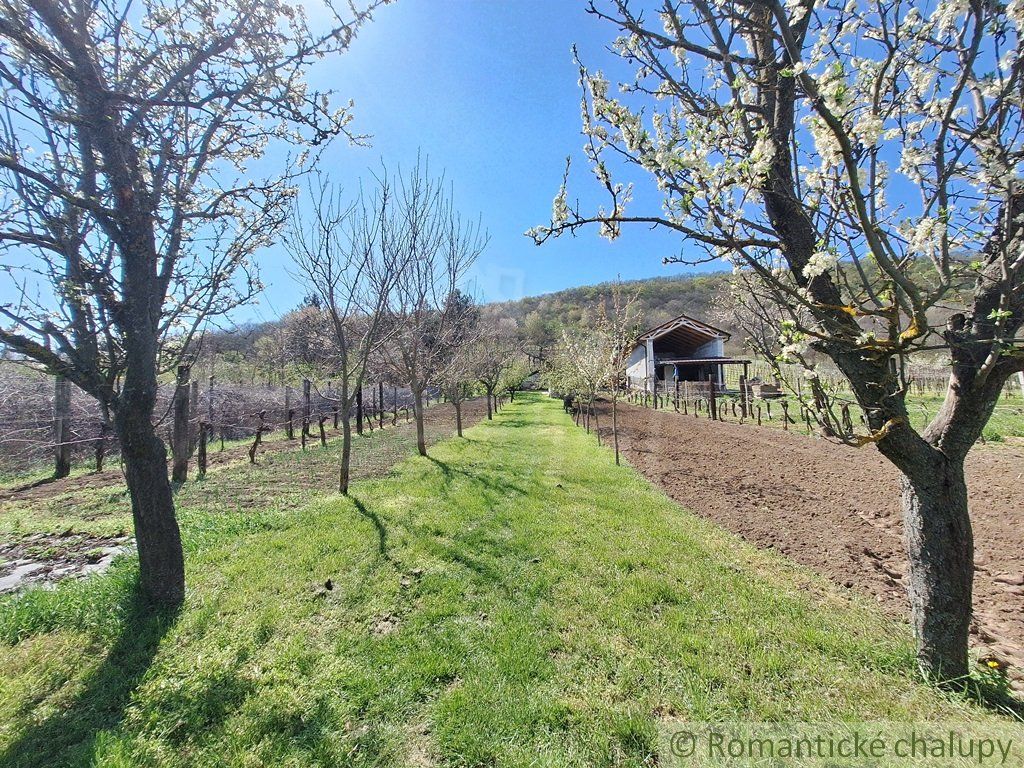 Rozľahlý 4500 m2 pozemok na hospodárenie s vínnym domom v obci Nána blízko Štúrova