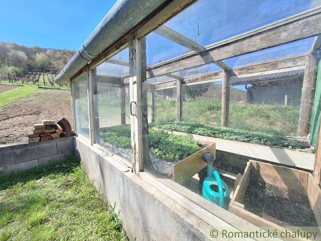 Rozľahlý 4500 m2 pozemok na hospodárenie s vínnym domom v obci Nána blízko Štúrova