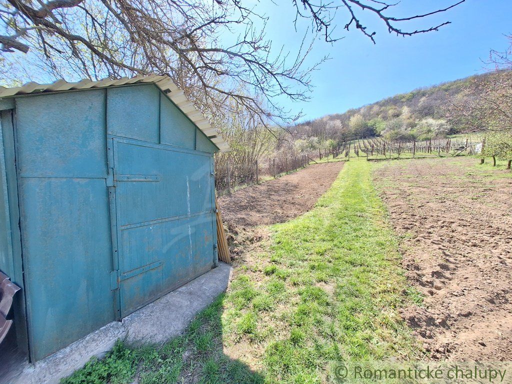 Rozľahlý 4500 m2 pozemok na hospodárenie s vínnym domom v obci Nána blízko Štúrova