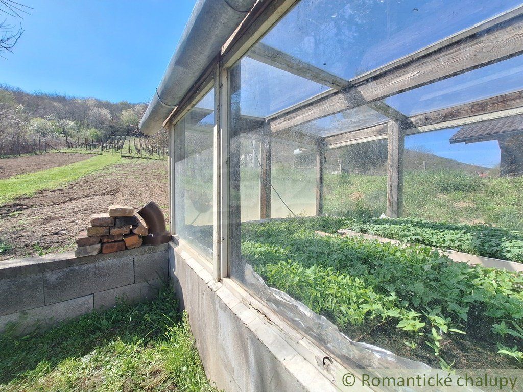 Viničná chatka blízko lesa na rozľahlom pozemku v obci Nána neďaleko Štúrova