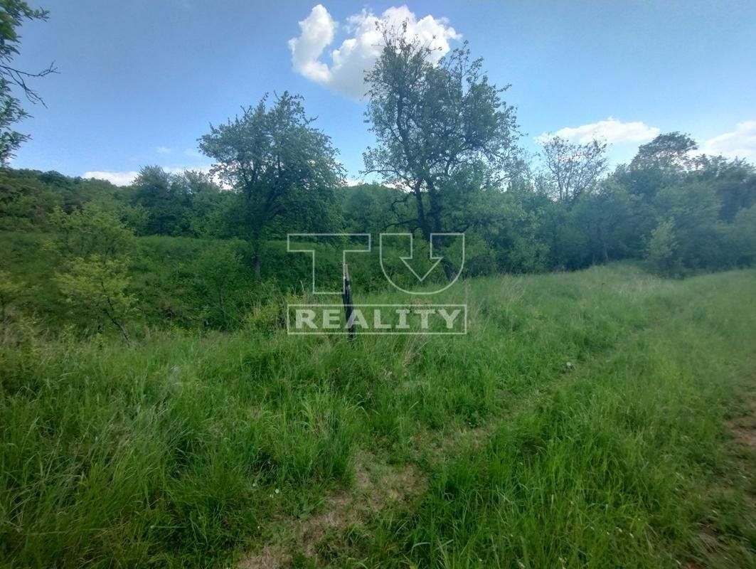 Záhrada-Predaj-Bošáca-27.00 €