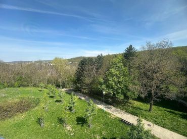 Afyreal predaj 3izb byt Púpavová, pôvodný stav, 14m2 miestnosť v pivnici s oknom