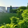 Predaj 4-izbového bytu s loggiou – Pôvodný stav – Podunajské Biskupice, Bratislava