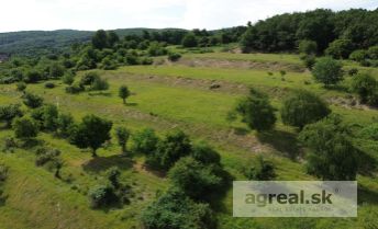 Pozemok - nezaložené vinice - Pezinok Nigle 34.105 m2
