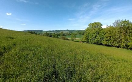 PREDAJ- Výrazná zľava – Pozemok - orná pôda , k.ú. Podbranč - EXPISreal