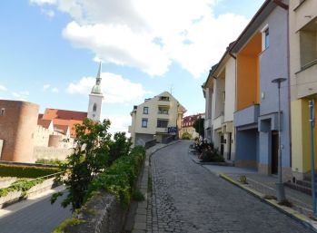 Lokalita pod Hradom - tichý priestranný štýlový byt, kompletne zariadený, garážové miesto, voľný od augusta, max. pre 2 osoby