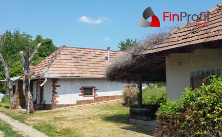 Predám dva vinohradnícke domy s pozemkami medzi vinohradmi pri Leviciach.