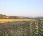 Mierne svahovitý stavebný pozemok, 1200 m2, Hrabovka