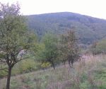 Slnečná záhrada 750 m2, Horné Sŕnie / Dráhy