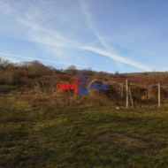 Vinohrad nad Svätým Jurom, lokalita Pisáre - 2752 m2