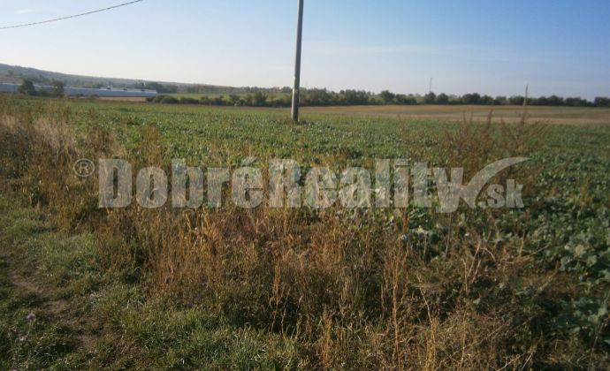 pozemok vhodný pre výstavbu rodinných domov o výmere 10 ha v obci Rumanová