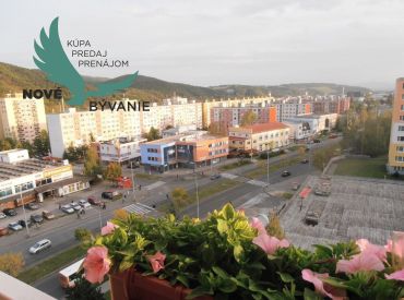 Veľký 1 izbový byt na prenájom - Radvaň