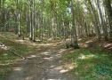 Krásny pozemok pod lesom pre rodinnú farmu, 3392 m2, Kálnica, okr. Nové Mesto n. Váhom